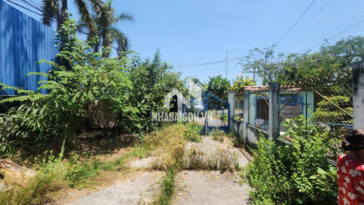 MT Trịnh Quang Nghị, Phong Phú, Bình Chánh 333.9m², 13t nhỉnh